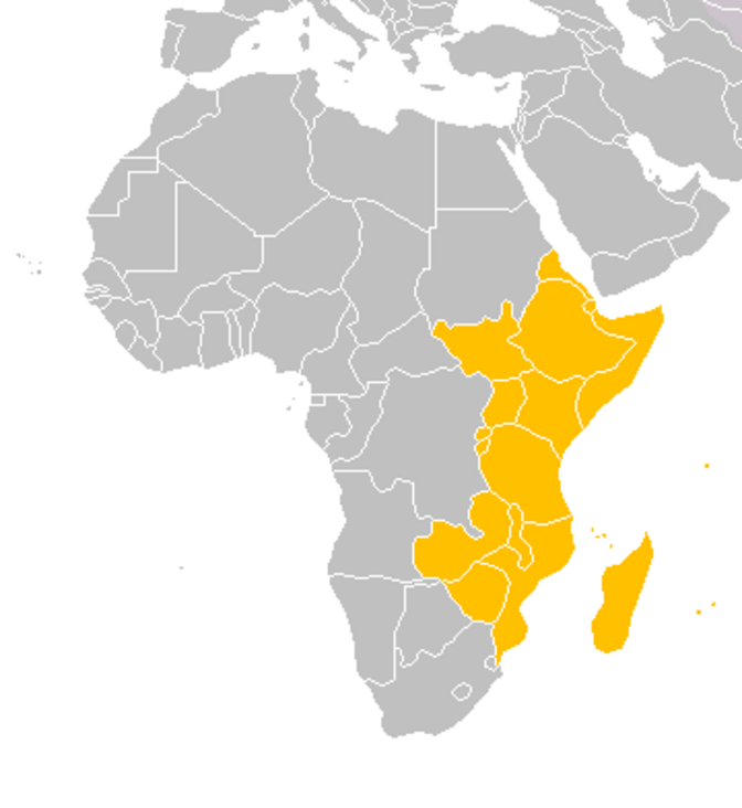 Quelle: „Eastern-Africa-map“ von Vervictorio -  Wikimedia Commons