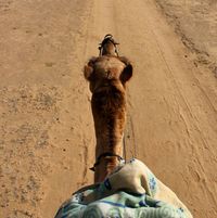 Saudi-Arabien: Chancen aus „Vision 2030“ nutzen - Delegationsreise 2017 Saudi-Arabien: Chancen aus „Vision 2030“ nutzen - Delegationsreise 2017